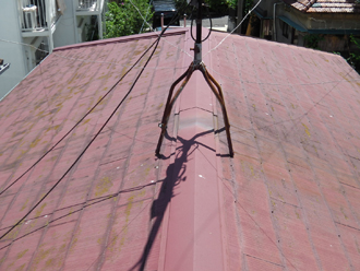 神奈川県横浜市中区 屋根点検　コケ