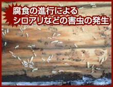 家財や工場・倉庫の場合は機材・商品への被害