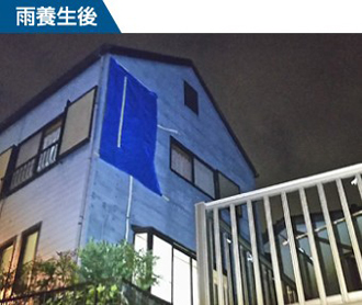 雨養生後