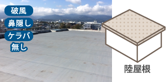 ビルに代表される陸屋根
