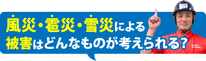 風災・雹災・雪災による
被害はどんなものが考えられる？