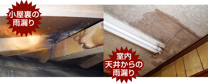 小屋裏の
雨漏り、室内誕生からの雨漏り
