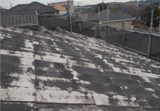 担当・富田支店長談