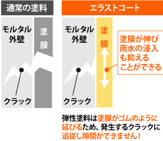 エラストコートの特徴