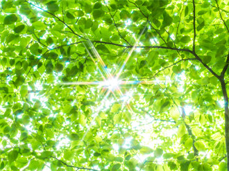 盛んに問われているCO2排出量の削減にも貢献しています