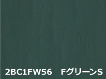 カラーバリエーション