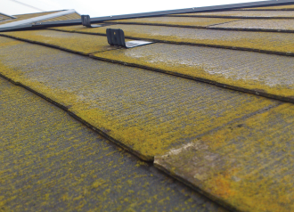 スレート屋根に苔が繁殖