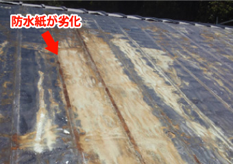 防水紙が劣化