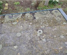 表面に苔やカビが生えている