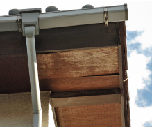 変色している・膨らんでいる