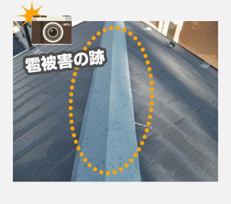 雹被害の跡の写真