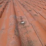 台風に注意　東京・千葉　屋根点検