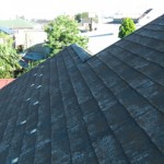 町田市　外壁塗装　屋根点検　苔の発生