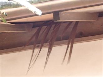 軒天近景、すだれ状に劣化