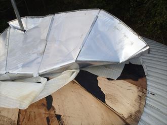 災害による飛散