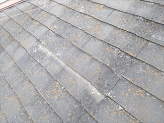 屋根補修、完成