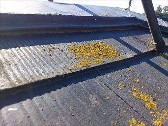 小平市　雨漏り調査007_R