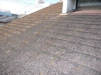 大田区　屋根調査002_R