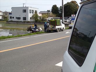 千葉県田植え始まる002