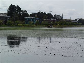 千葉県田植え始まる001