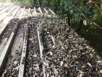 柏市　屋根補修工事004_R