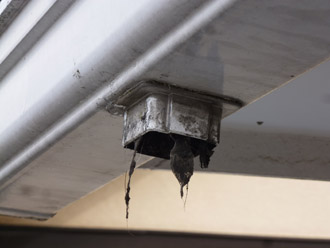 浦安市　雨樋調査　飾り枡