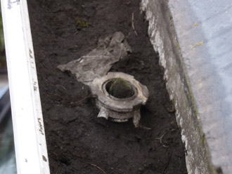 浦安市　雨樋調査　排水口に苔