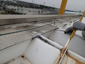 １　美浜区　工場のコーキング005_R