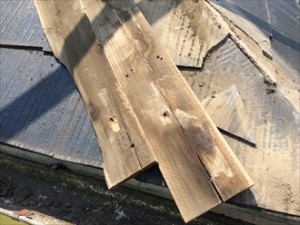 棟板金木材劣化②
