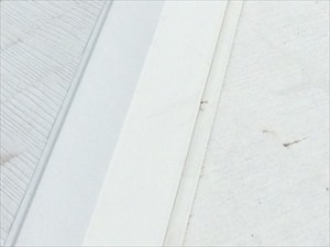 東南側棟板金拡大