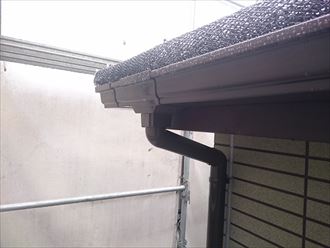 雨に濡れたきわみの緑004