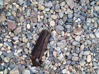 船橋市モニエル瓦点検007