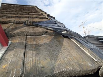 船橋市モニエル瓦点検004