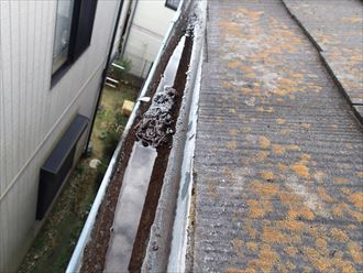八千代市雨樋保険対応工事003