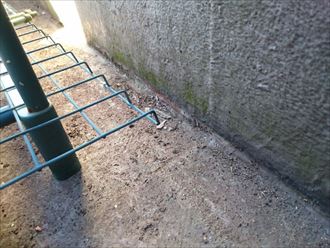 江戸川区雨漏り004