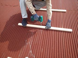 花見川区トタン屋根004