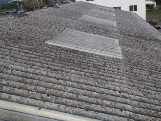 市原市　雨漏り点検　屋根の状況を確認