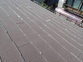 葛飾パミール現調002