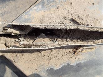 習志野市漏水原因006