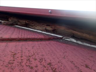 習志野棟板金飛散調査003