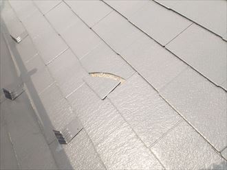 千葉市スーパーガルテクト006