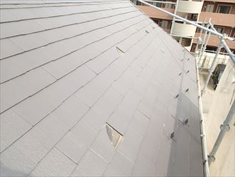 千葉市スーパーガルテクト005