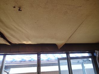 船橋市瓦棒雨漏り点検001