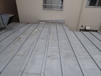 市川市店舗屋根状態009