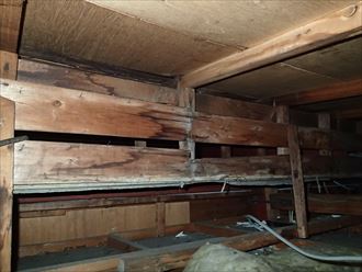 市川市店舗屋根状態010