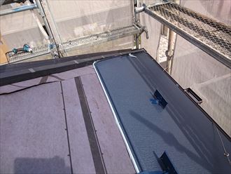 船橋市スーパーガルテクト009