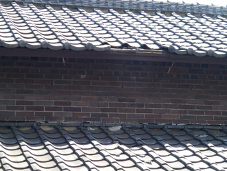 屋根全体の様子