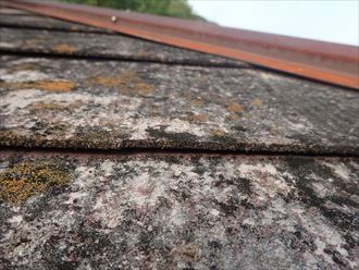 スレート,苔,屋根材