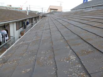 塗膜の剥がれ苔の発生