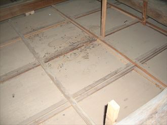 屋根裏,カビ,雨染み